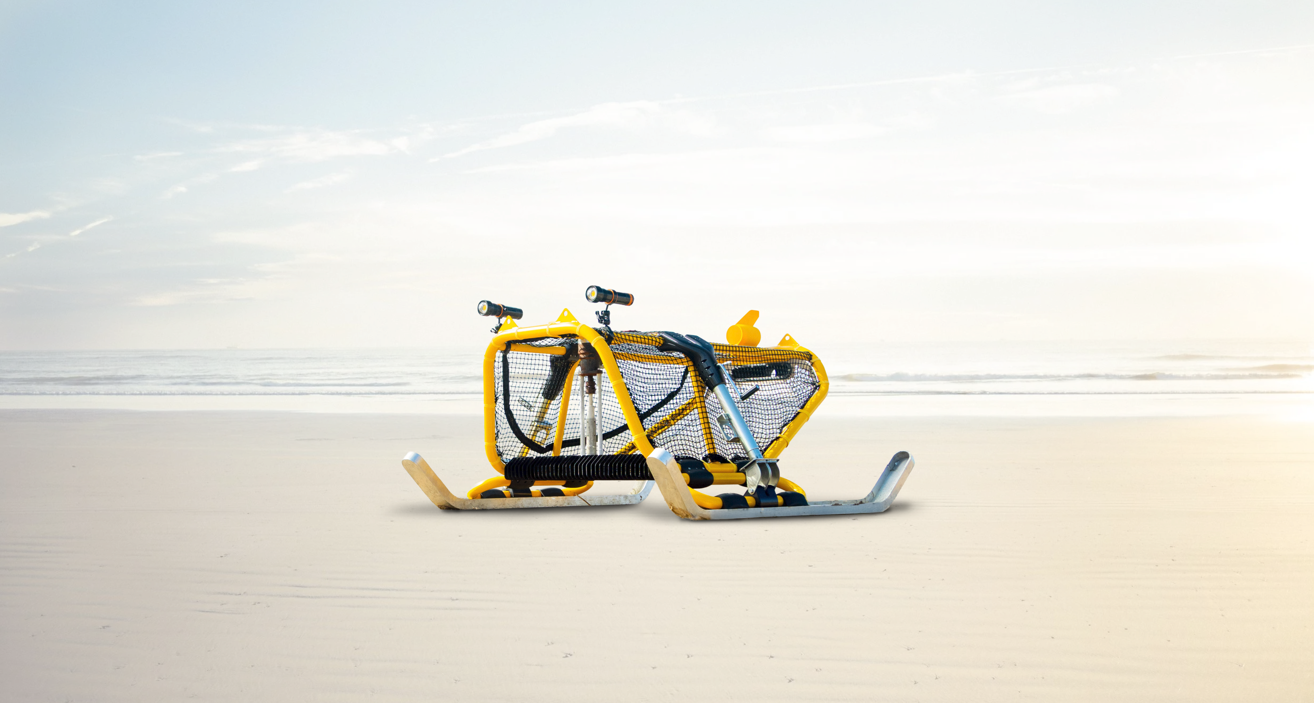 Whale conservation project by Tandem Ventures